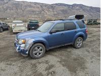 2009 Ford Escape XLT AWD Sport Utility Vehicle