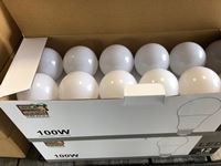    (12) 100W LED Bulbs