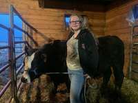    "Bud" Black Simmental Steer   "Reese Prutton" 1215 lbs