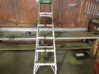    6 Ft Aluminum Step Ladder