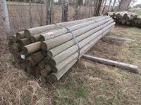    (45) 5-6" X 16 ft Treated Poles