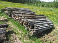    (400±) 6 Ft Fence Posts