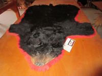    Black Bear rug