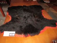    Black Bear Rug (Headless)