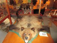    Grizzly Bear Rug