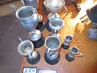    (8) Trophy Cups