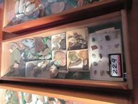    Cabinet with Rock Collection