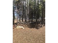    Approx 3 Cords of Poplar Fire Wood