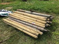    (65) +/- 7 Long, 3" to 4" P/T Fence Posts (unused)