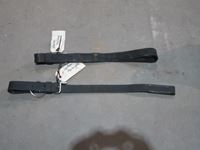    Leather Martingale, Harness Neck Strap