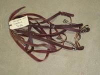    Complete Western Bridle