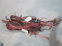    Bundle of Leather Strips