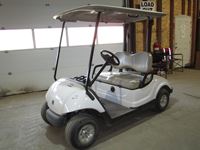    Electric Golf Cart