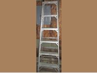    6 Aluminum Step Ladder