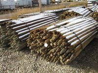    (2) 150 Pieces 2-3 In. x 8 Ft Poles