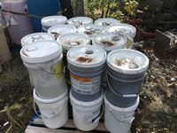    (12) Pails of Industrial Cleaning Chemical