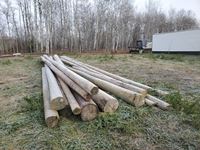    (13) Asorted Lengths Treated Power Posts