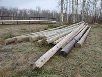    (19) Asorted Lengths Treated Power Posts