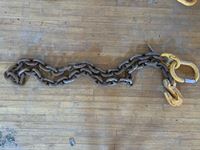    12 Ft x 3/4 In. Rigging Chain