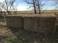    (4) Timothy Large Square Bales