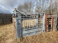    Pearson Cattle Squeeze with Palpation Cage