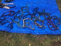    Assortment of Halters, Saddle Parts & Leads