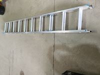    20 Aluminum Extension Ladder