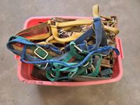    Halters & Assortment of Saddle Foot Guards