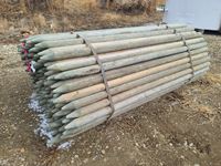    Qty of (150) 3" x 8 Treated Posts