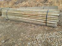    Qty of (100) 3" to 4" x 14 Treated Rails
