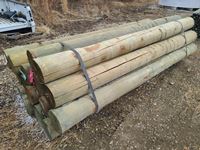    Qty of (16) 8" to 9" x 10 Treated Poles