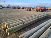    Qty of (20) 7" to 8" x 22 Treated Barn Poles
