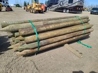    (36) 5-6" 8 FT Fence Posts