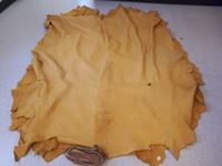   Complete Leather Tanned Hide