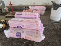   (11) Bags of R20 Insulation