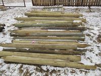    (100±) 5-6" X 7 Treated Fence Posts