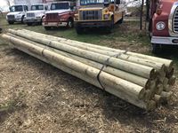    (20) 7-8 In. x 22 Ft Treated Blunt Poles