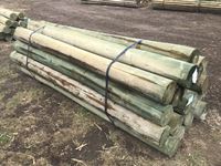   (20) 8-9 In. x 10 Ft Treated Blunt Poles