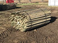    (180) 2-3 In. 7 Ft Treated Posts