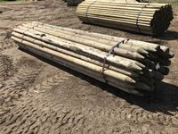    (39) 5-6 In. x 14 Ft Treated Chisel Posts