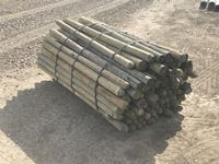    (100) 3-4 In. x 6 Ft Treated Posts