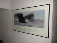    Excellence "King of the Skies" Framed Print