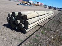    (20) 7 In. - 8 In. x 22 Ft Treated Blunt Poles