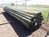    (35) 5 In. - 6 In. x 25 Ft Treated Blunt Poles