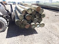    (20) 8 In. - 9 In. x 10 Ft Treated Blunt Poles
