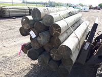    (20) 8 In. - 9 In. x 8 Ft Treated Blunt Poles