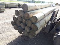    (20) 8 In. - 9 In. x 8 Ft Treated Blunt Poles