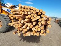    (140) 3 1/2 In. x 12, 14 and 15 ft Blunt Poles
