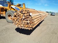    (80) 3 In. - 4 In. x 20 Ft Larch Blunt Poles