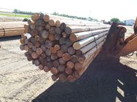    (80) 3 In. - 4 In. x 20 Ft Larch Blunt Poles